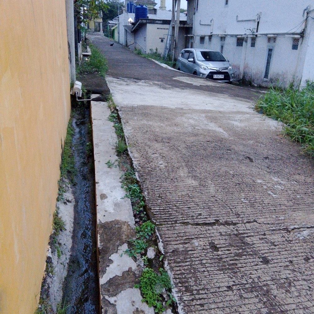 Kost Demplot
