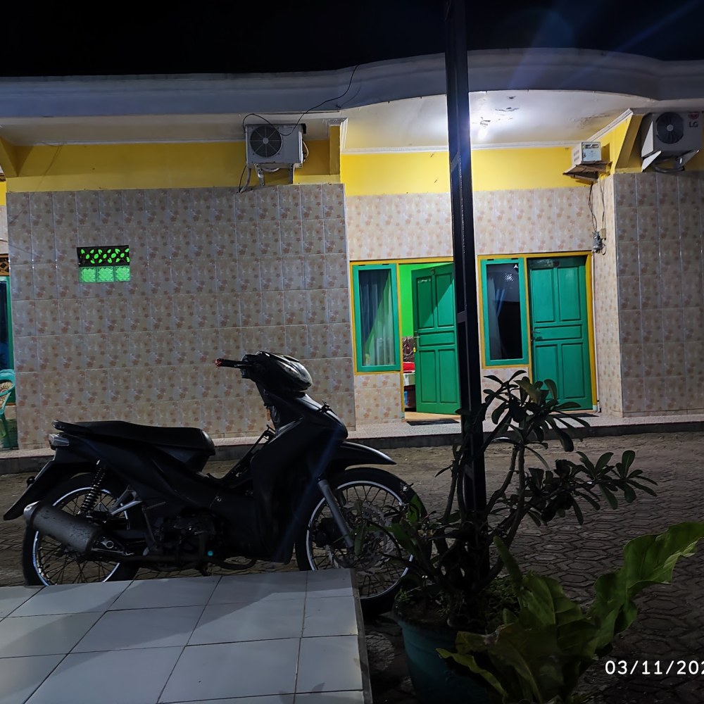 Penginapan Alviena