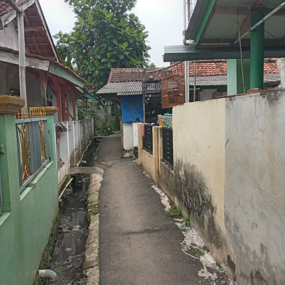 Kontrakan anyar