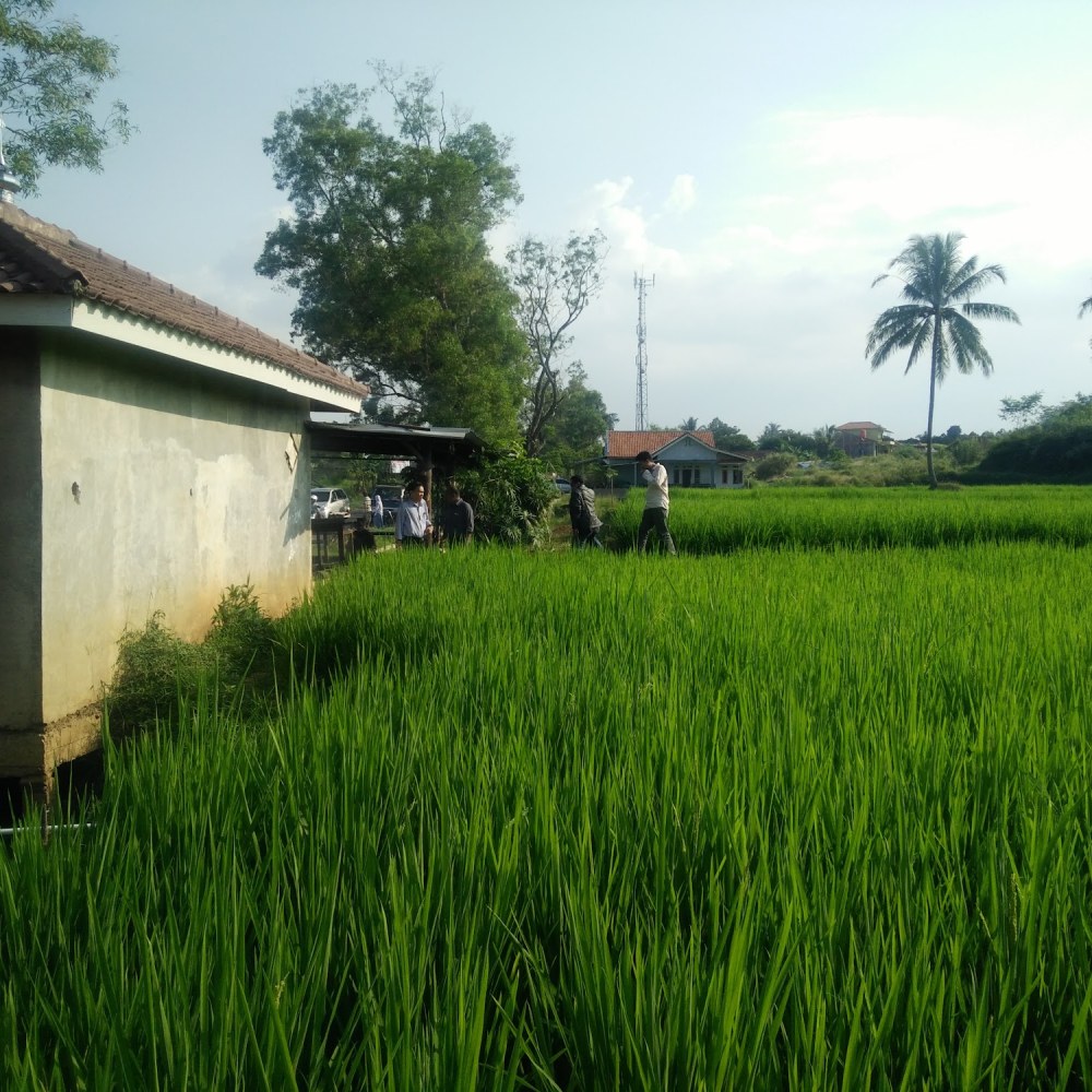 SPBU Pertamina 34.432.18 Sindanglaka