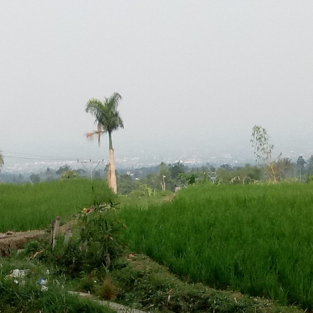 Masjid Mangun Wetan