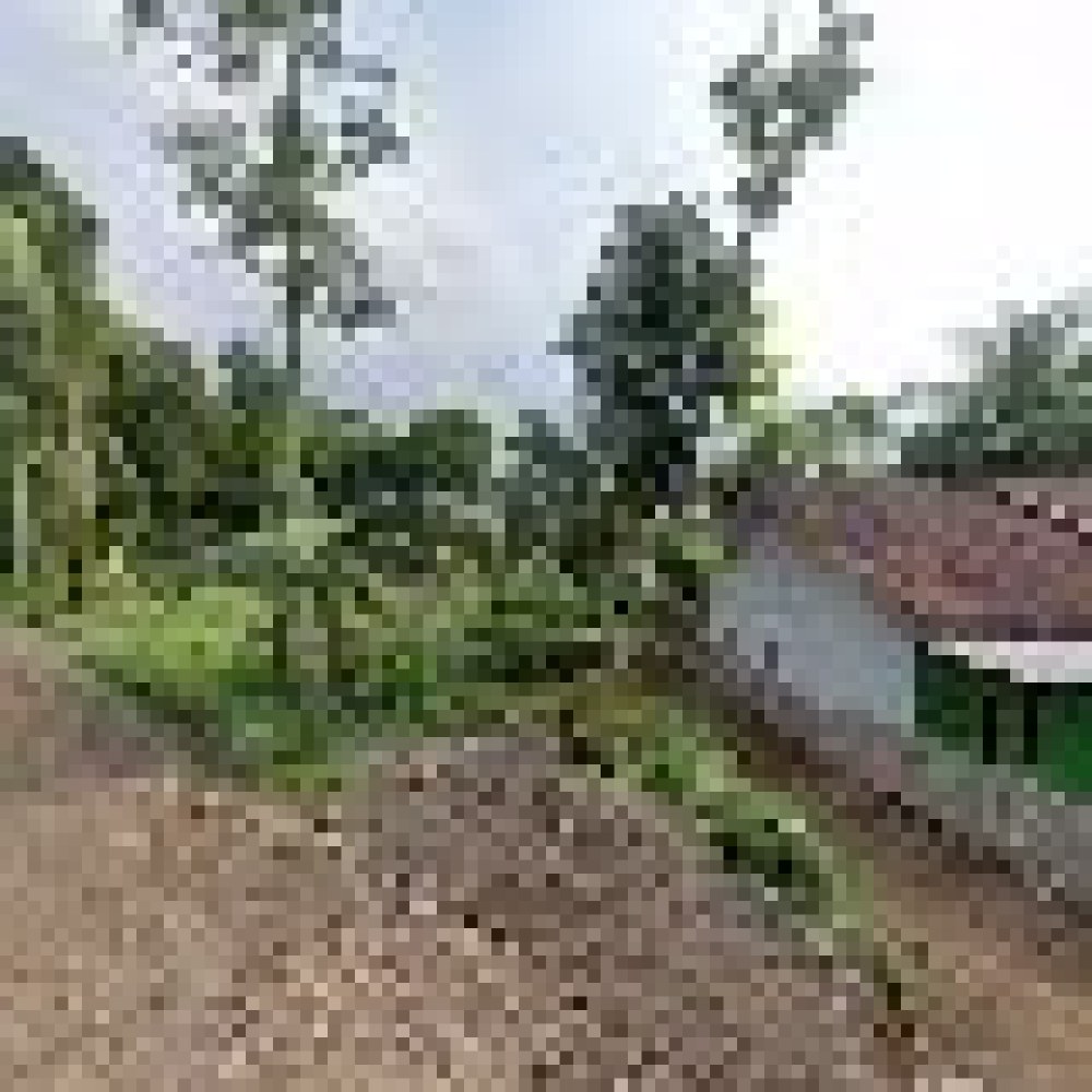 Masjid Darus Sa'adah