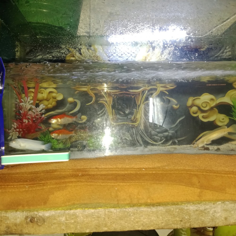 MASJID JAMI NURUL HUDA