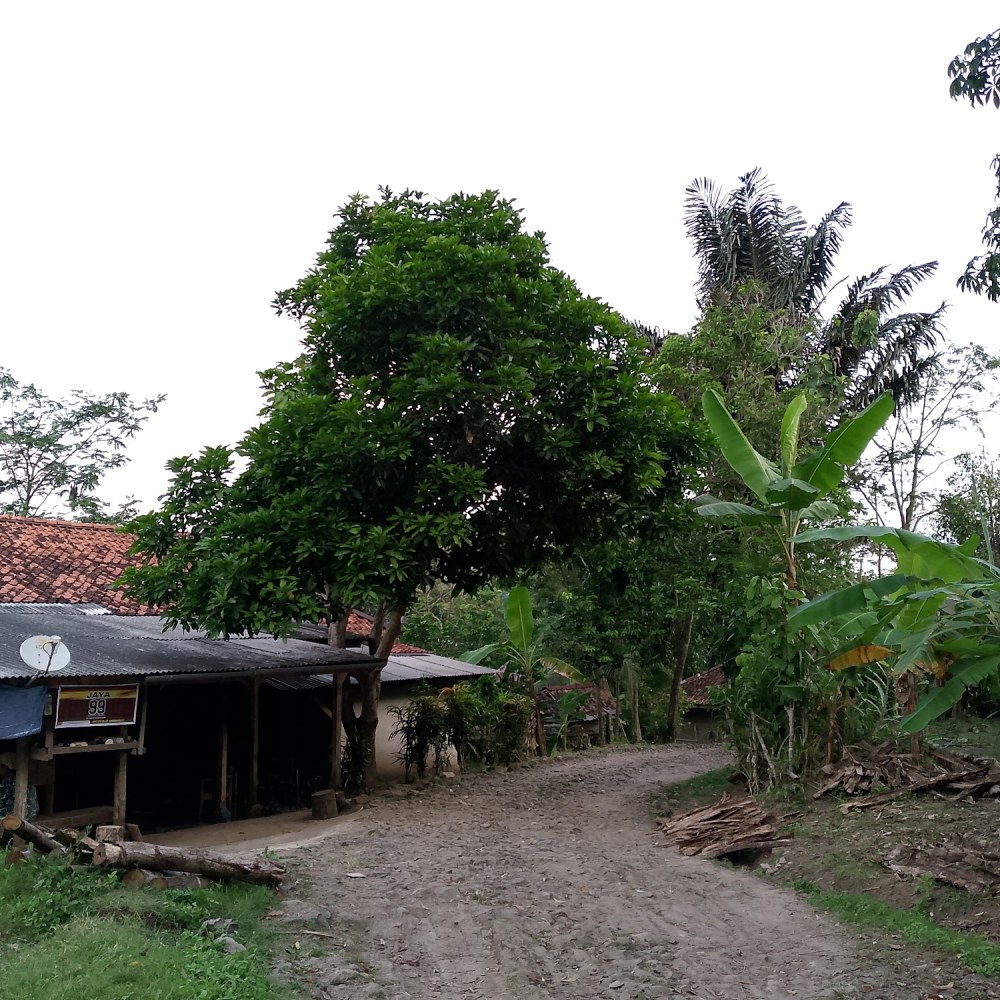 Masjid ATTASREH Loajajar