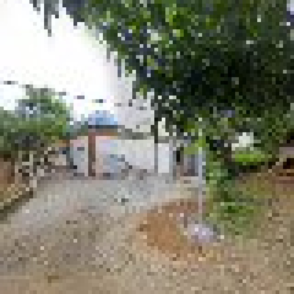 Masjid/Mushola