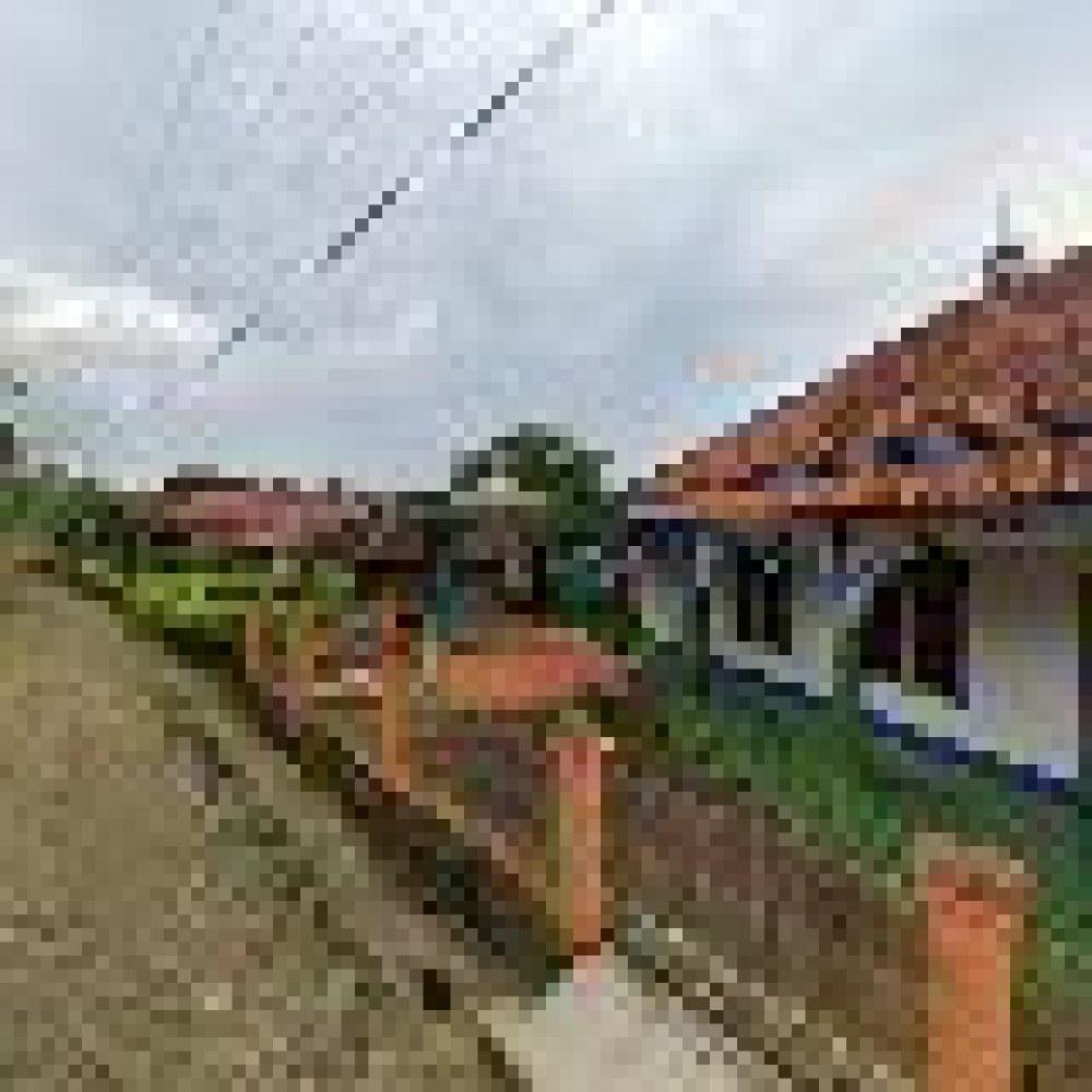 Masjid Nurussaadah Cikihiang