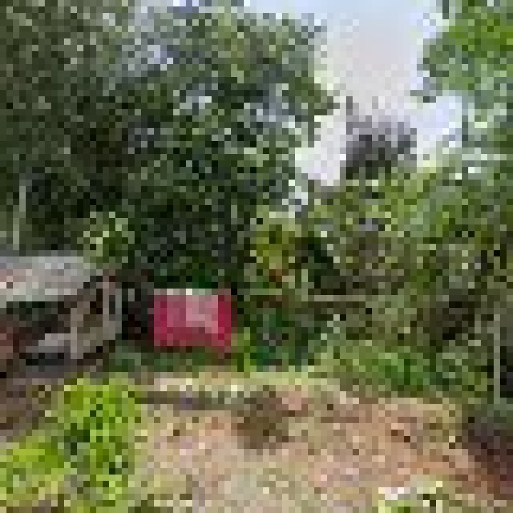 Masjid Al Ikhlas (iman)