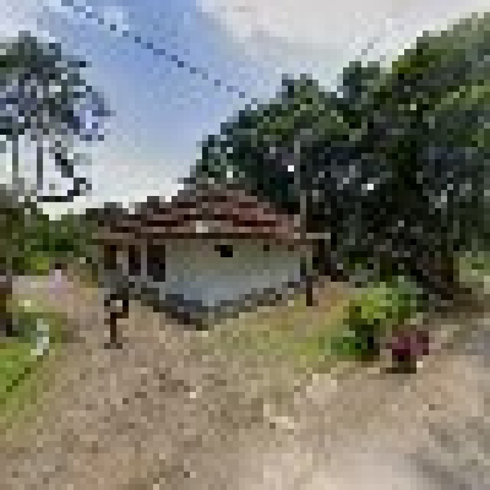 Mesjid Nurul Iman Pasir Tangkil