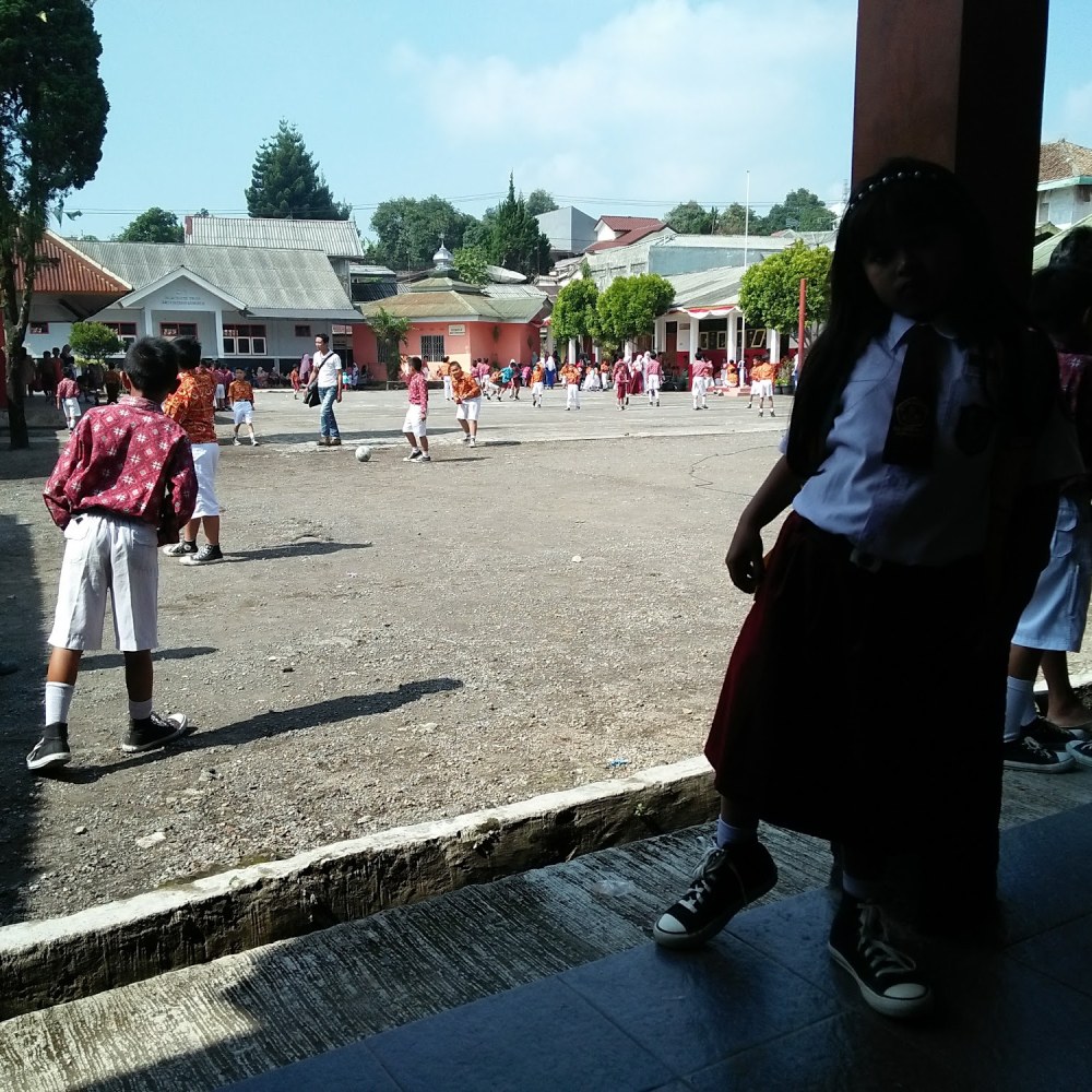 SDN Cipanas 4