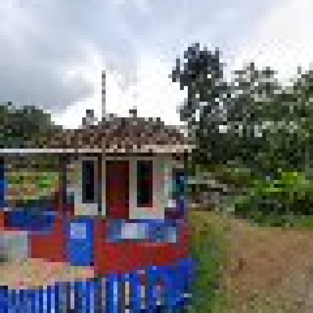 Masjid Langgar Lingkungsari
