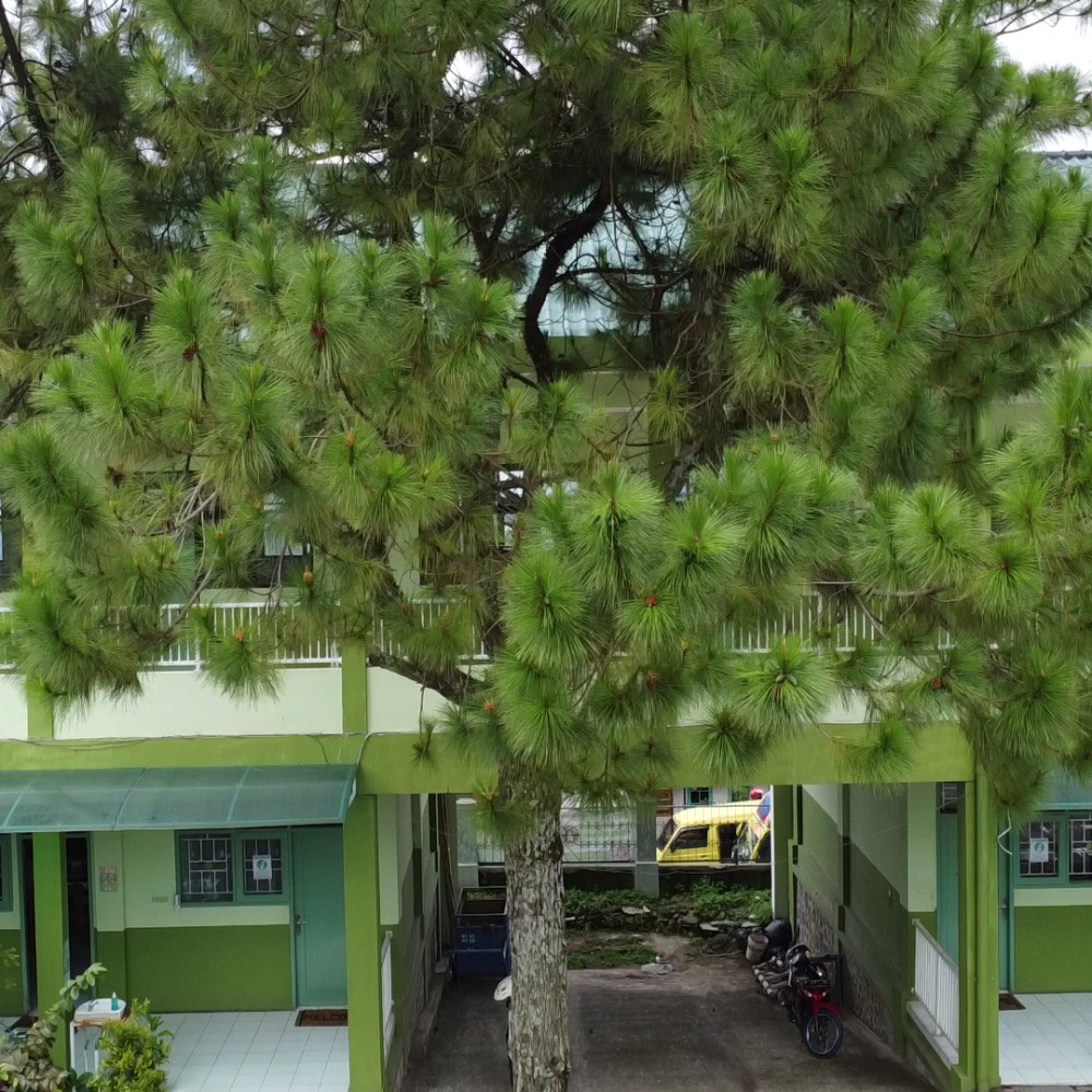 SMA Muhammadiyah Cipanas