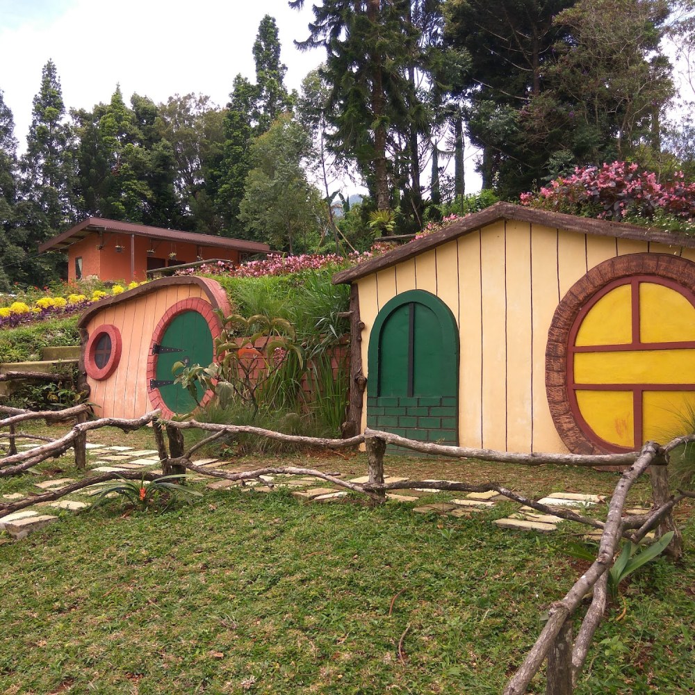 The Pinewood Lodge & Organic Farm
