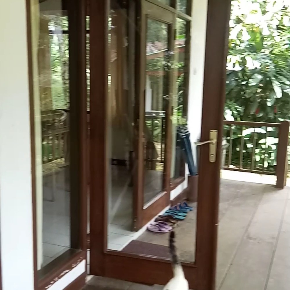 Bumi Cisarua Resort