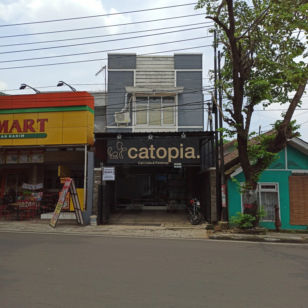 Catopia
