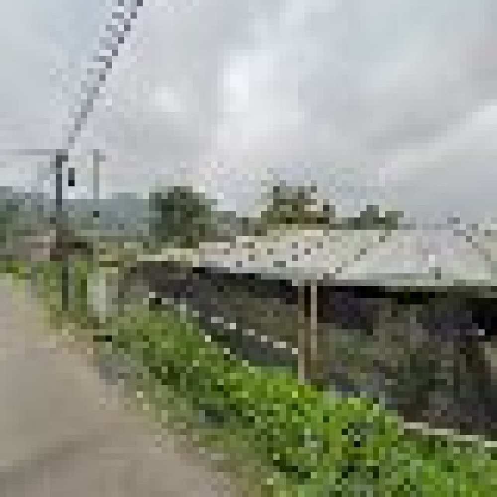 HOMESTAY