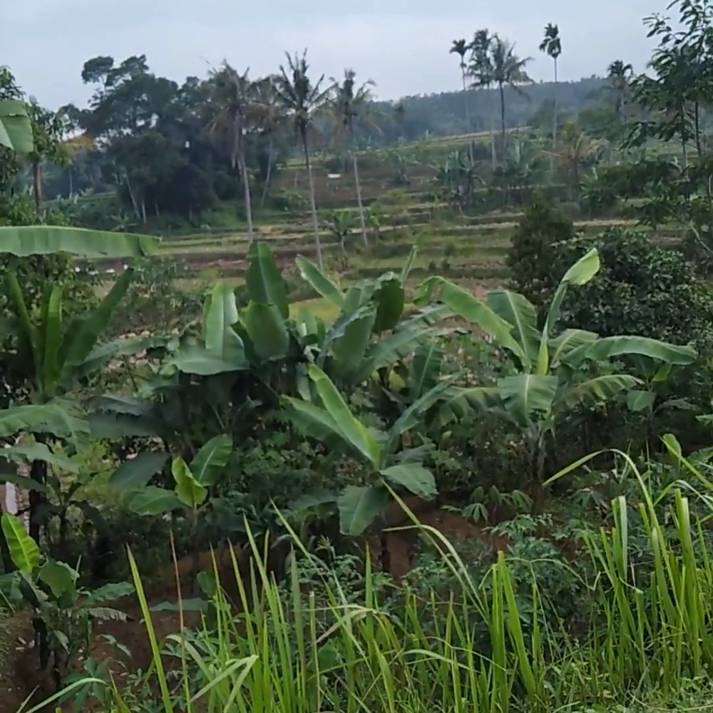 Bale Sawala Cisarua
