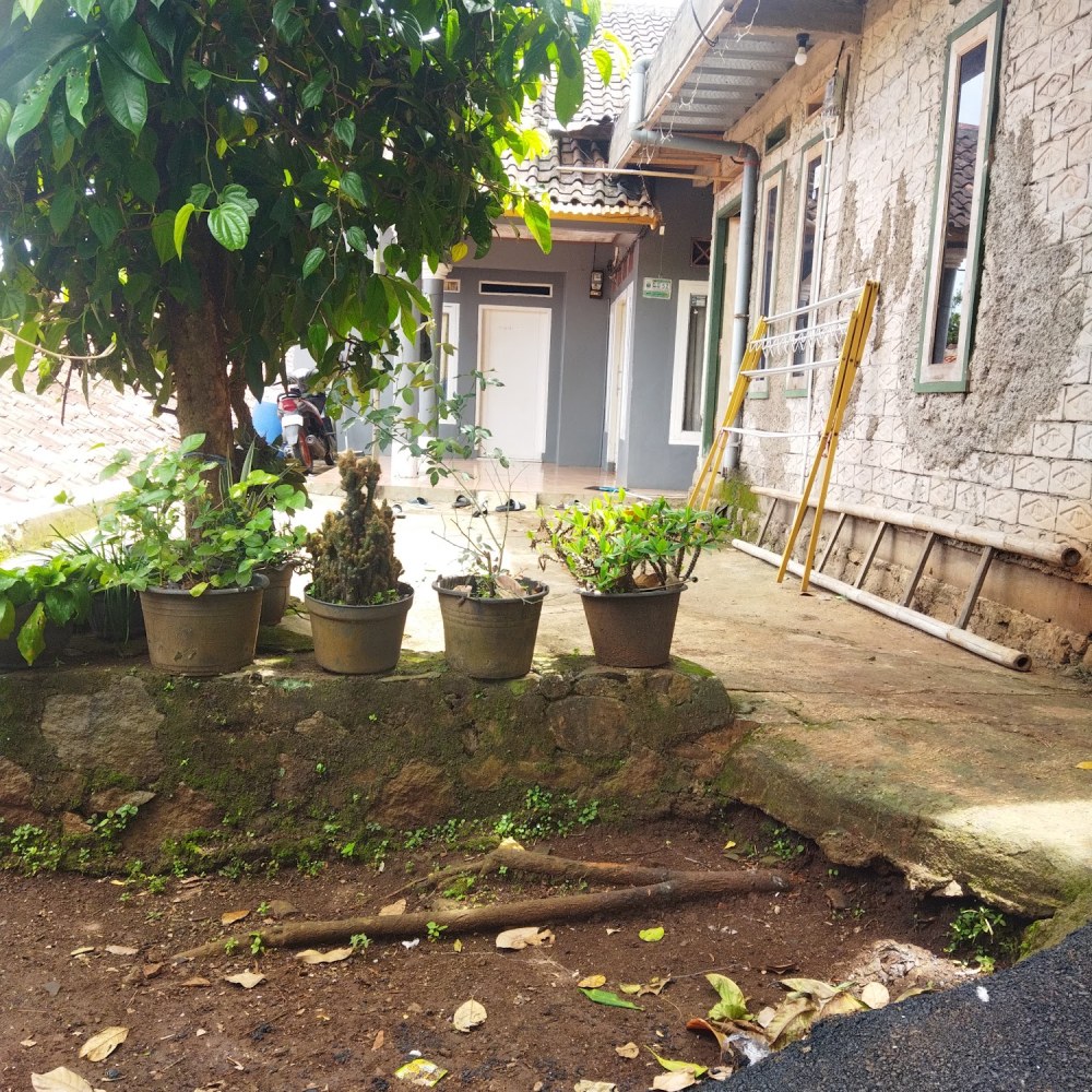 Teh Evi Homestay