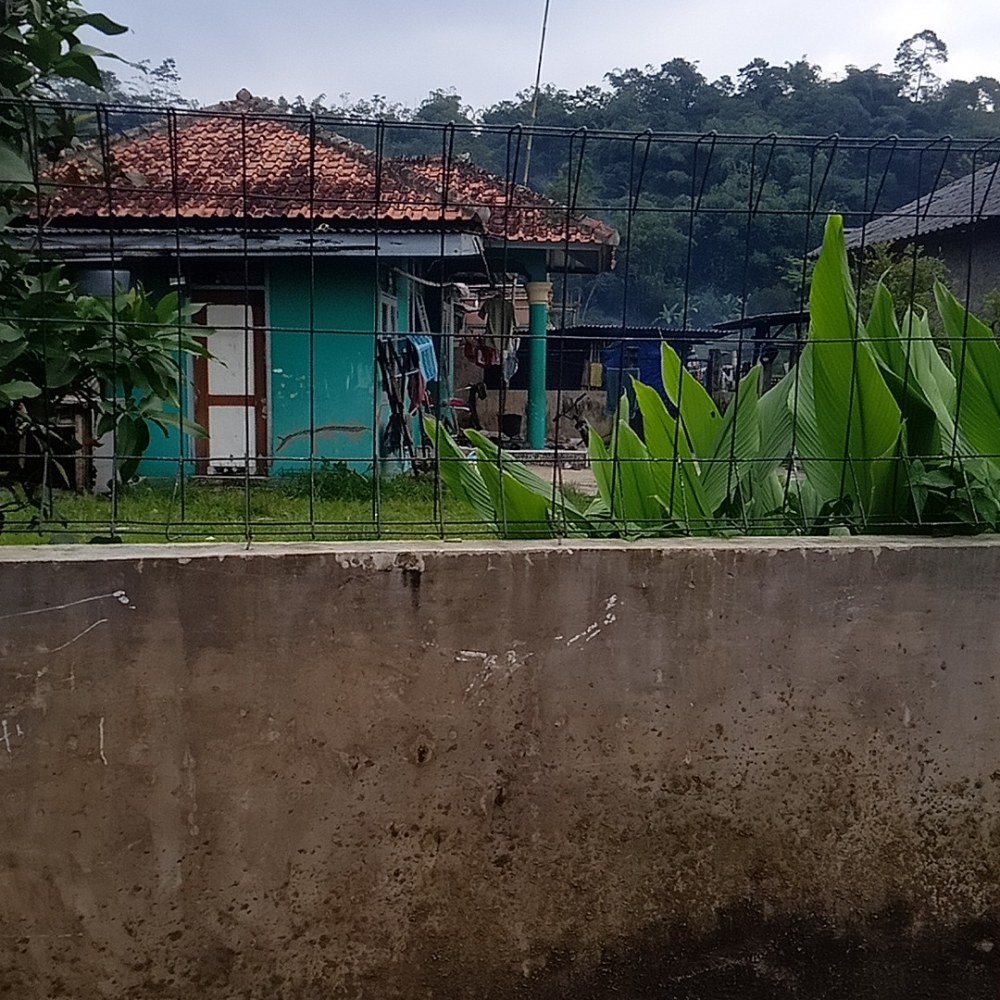 Bochi Bochan Homestay
