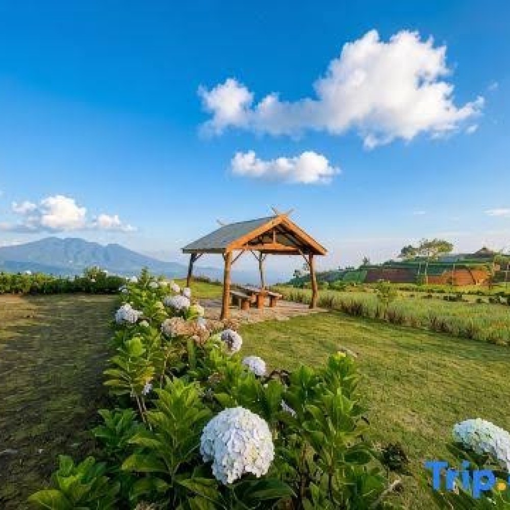 Fieris Valley Luxury Villa