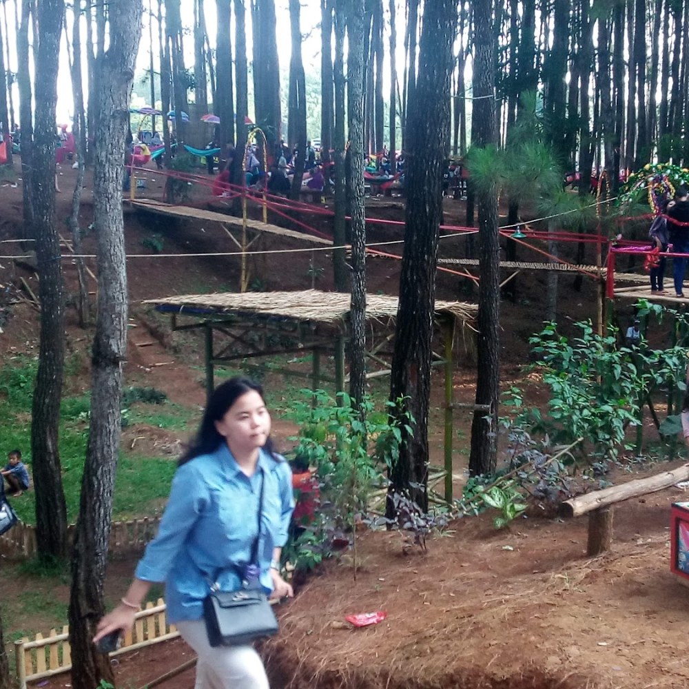 Wana Wisata Pokland