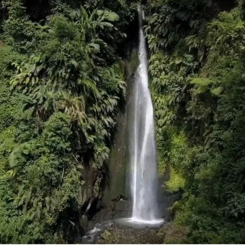 Air Terjun Curug Ciismun Kebun Raya Cibodas, BRIN