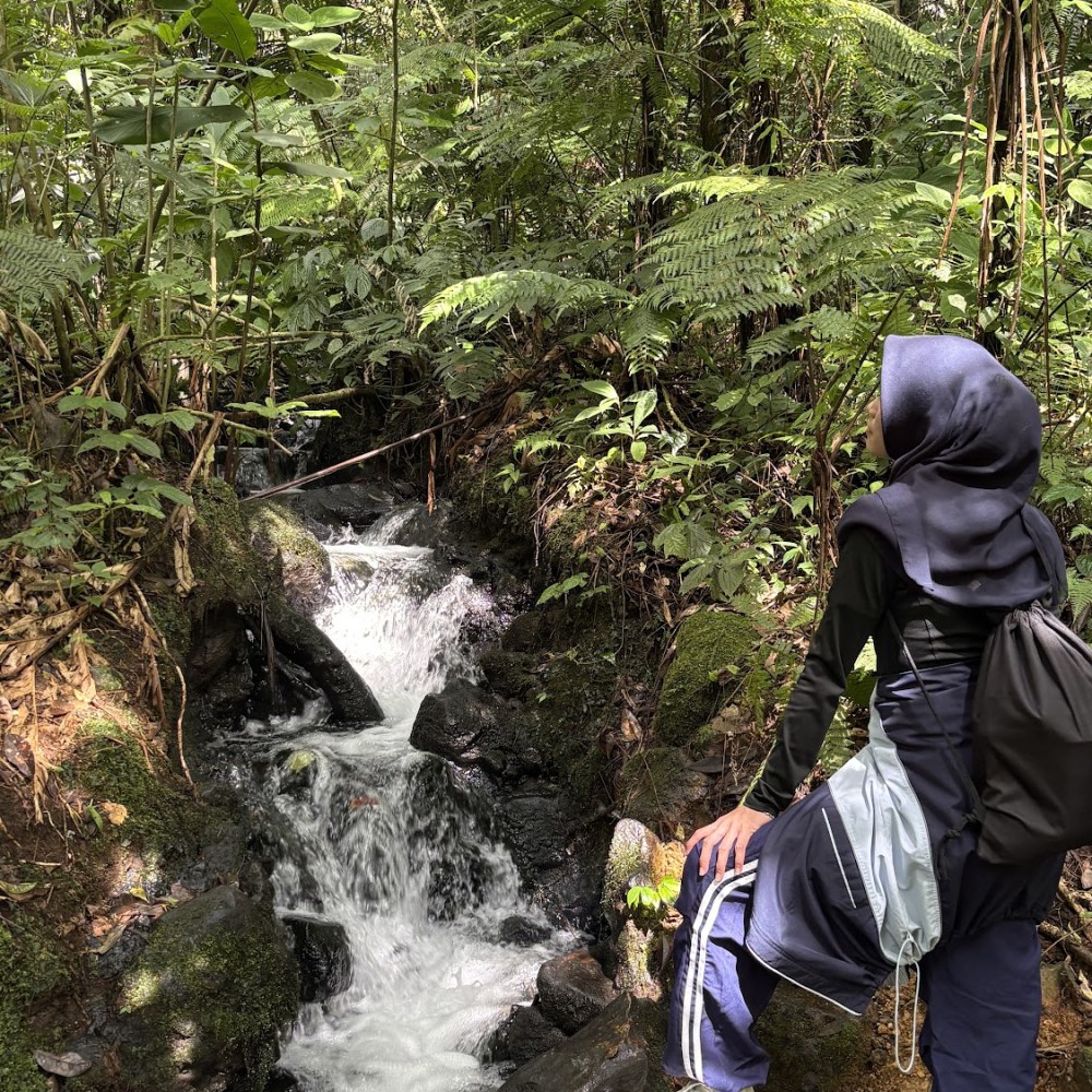 Curug Cibeureum