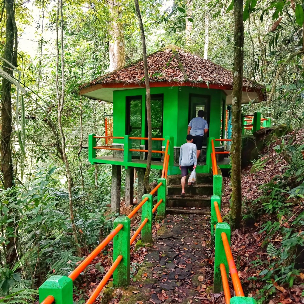 Canopy Trail Ciwalen