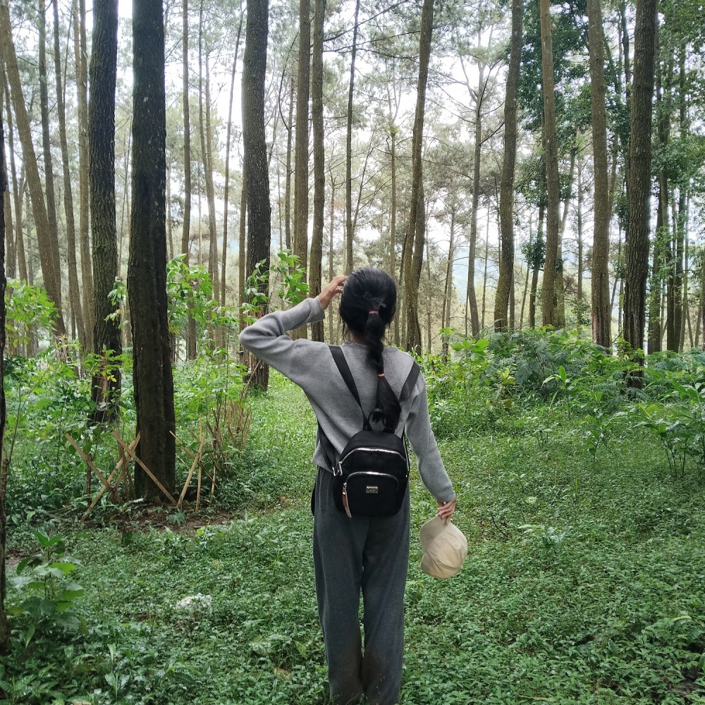Lembah Tapak