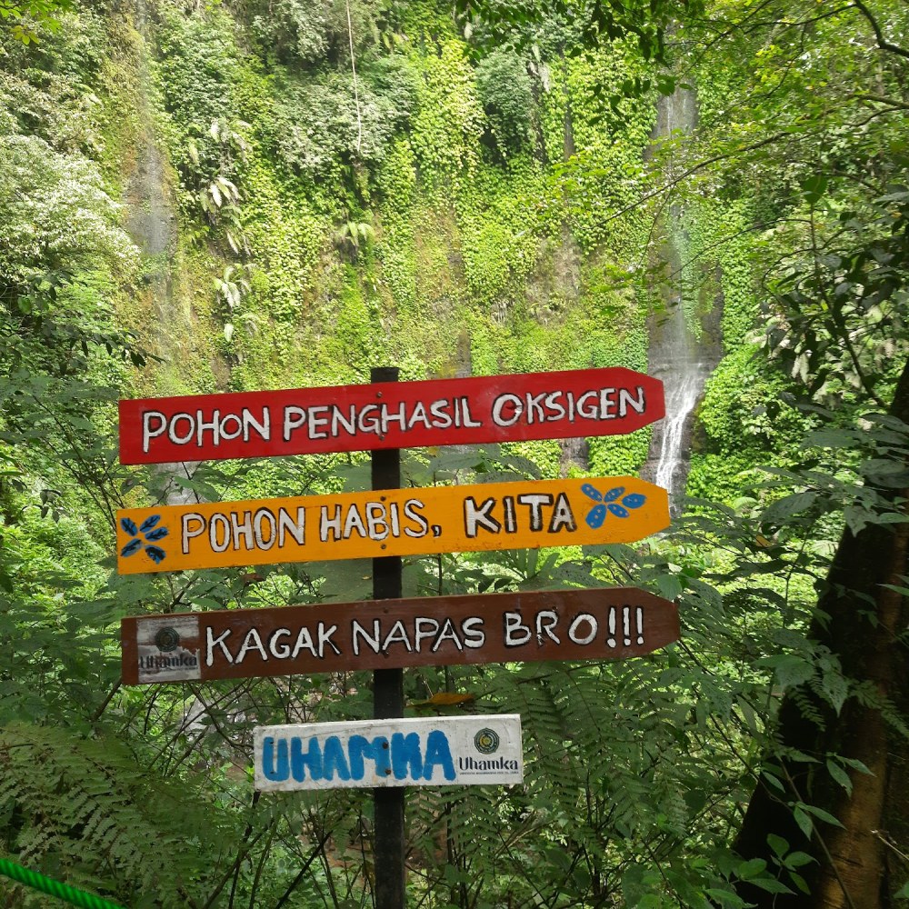 Curug Goong