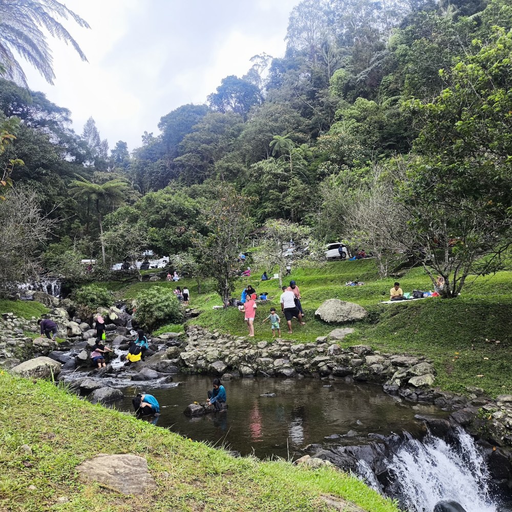 Taman Sakura CIBODAS Cianjur