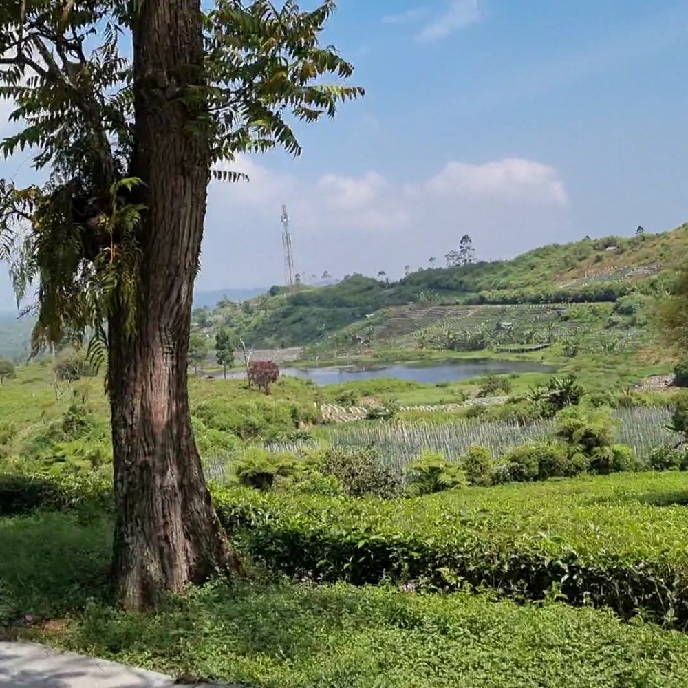Curug Citambur
