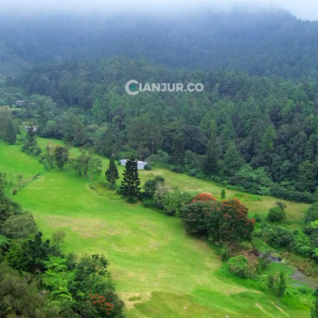 pemandangan kebun raya cibodas
