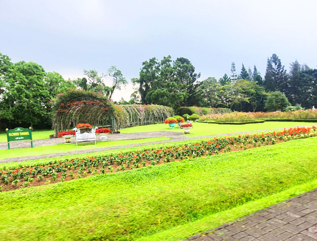 Taman Bunga Nusantara (foto: fleur da la fleurs)