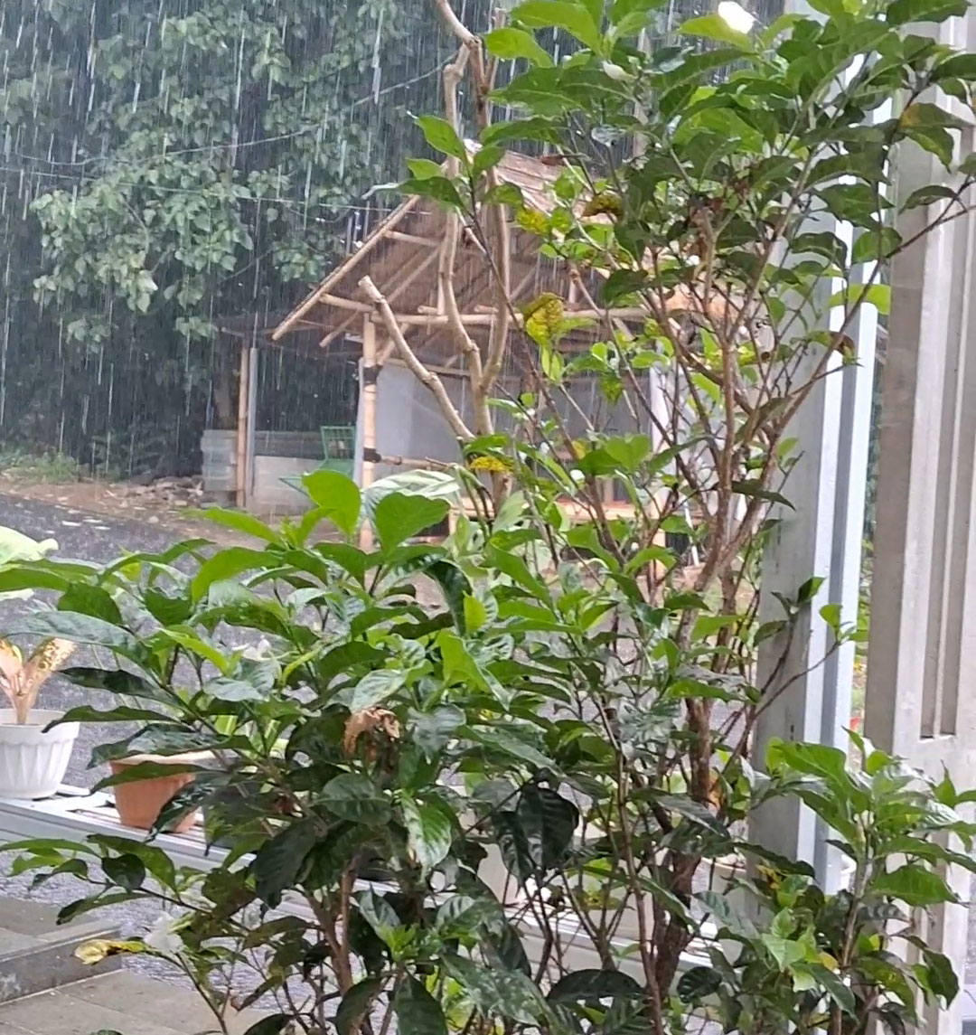 Hujan Deras Guyur Cianjur Mengakibatkan Akses Jalan Kabupaten Terputus