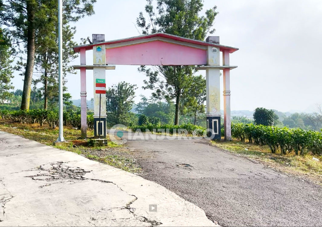 desa Sukamulya kecamatan Cugenang - Kabupaten Cianjur