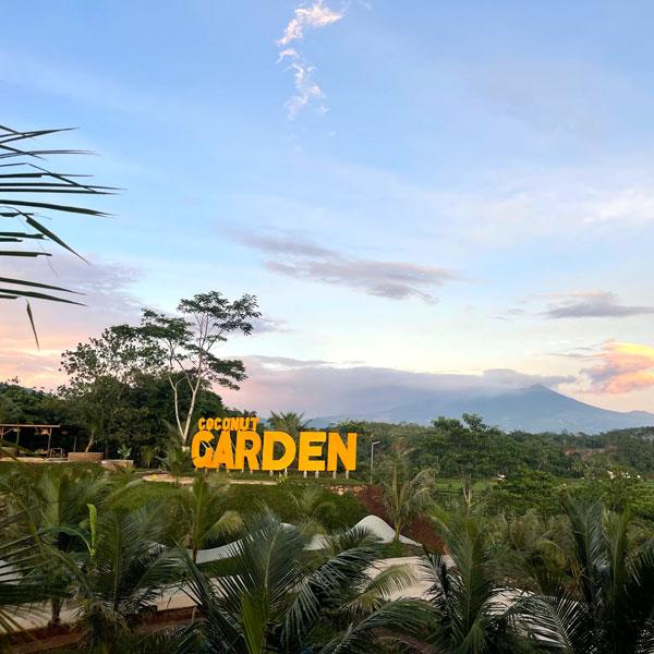 Coconut Farm Garden Cibeber