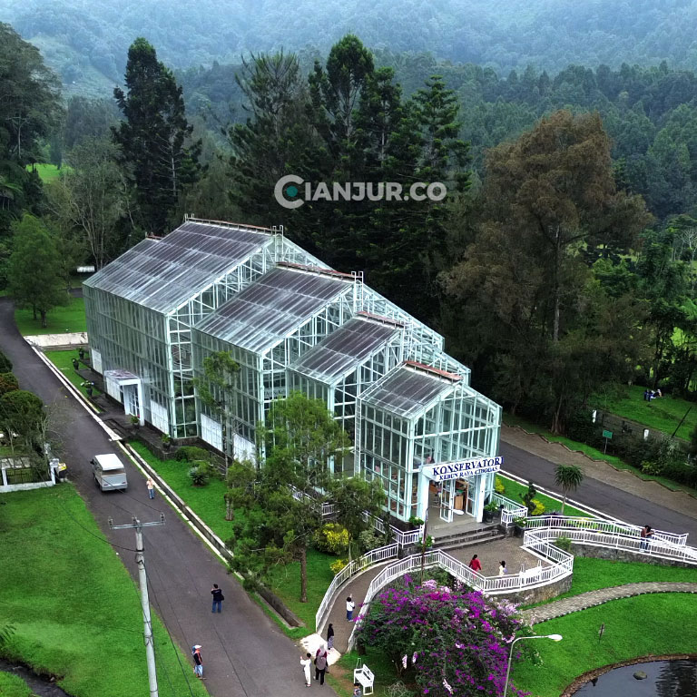 Kebun Raya Cibodas