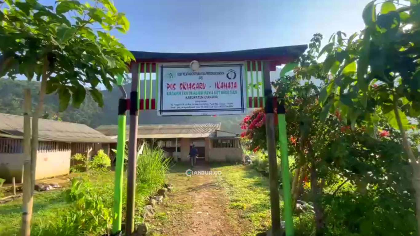 Okiagaru Farm: Pusat Sayuran Jepang Organik dan Pelatihan Petani Muda Di Cianjur