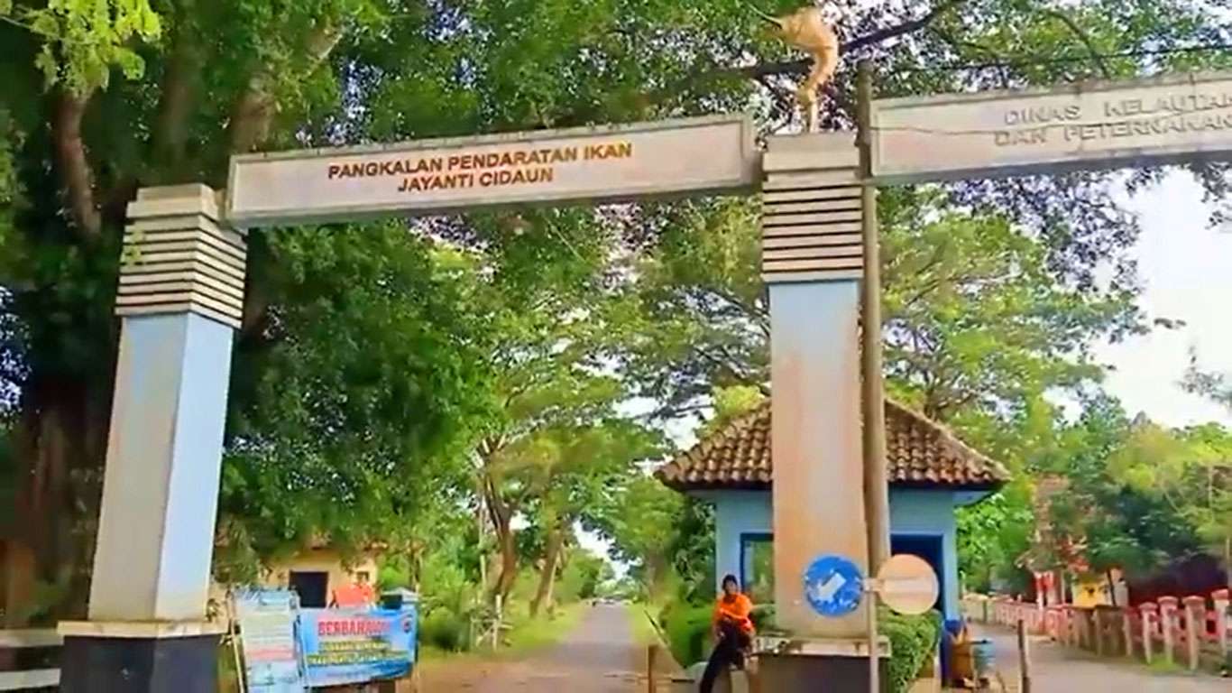 Eksplorasi Cagar Alam Bojonglarang Jayanti Cianjur dan Keunikannya