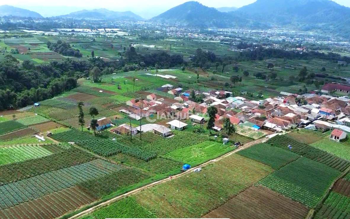 Desa Galudra Cugenang Cianjur - Potensi dan Info Wilayah