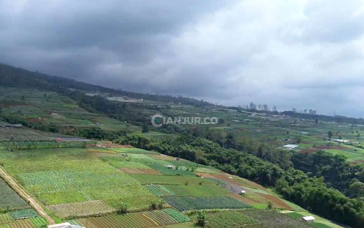 Perbatasan desa Galudra dengan Cijedil Cugenang CIanjur. Foto dari udara