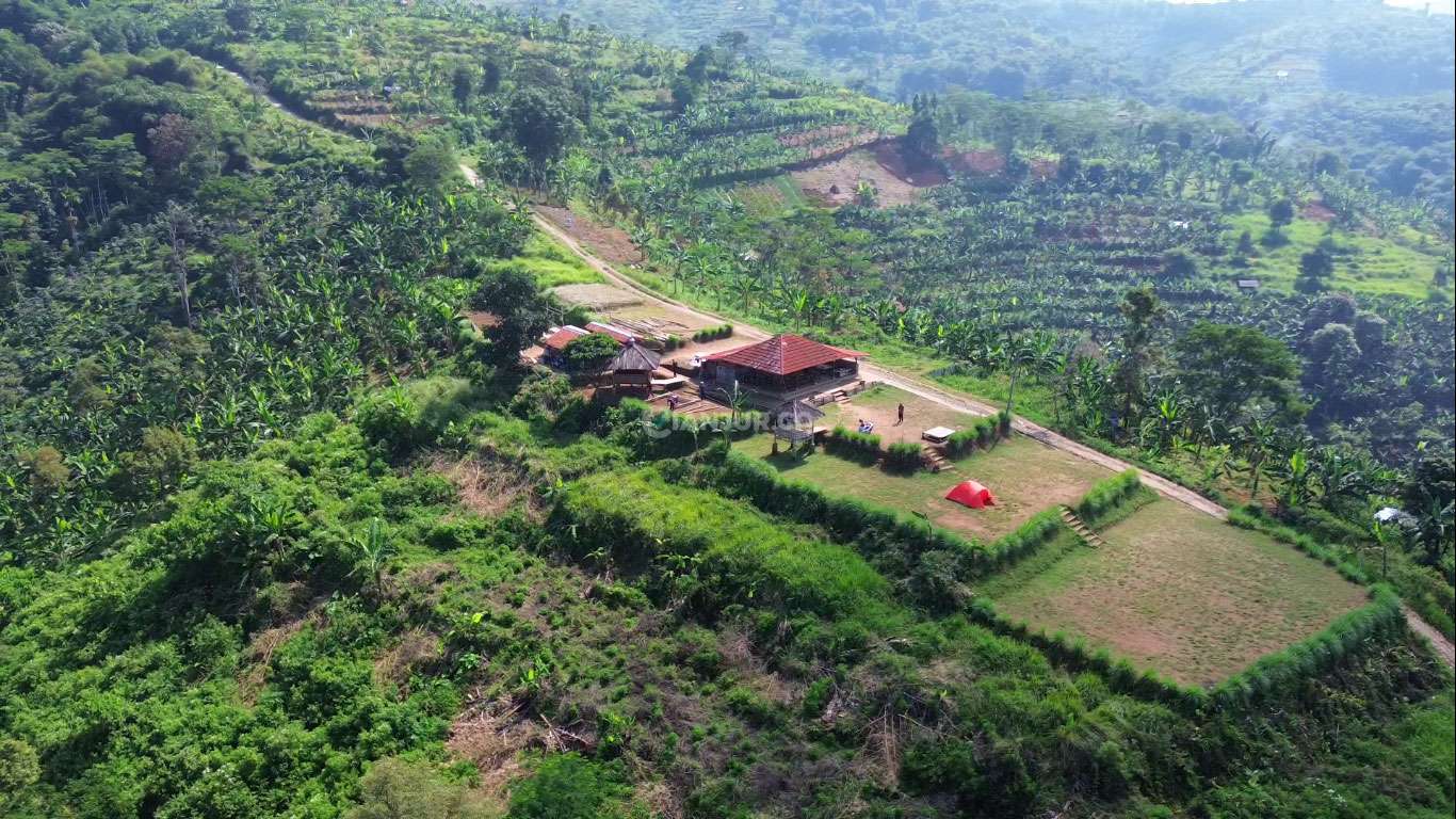 Kopi mlaku alam di kelilingi perbukitan di cugenang