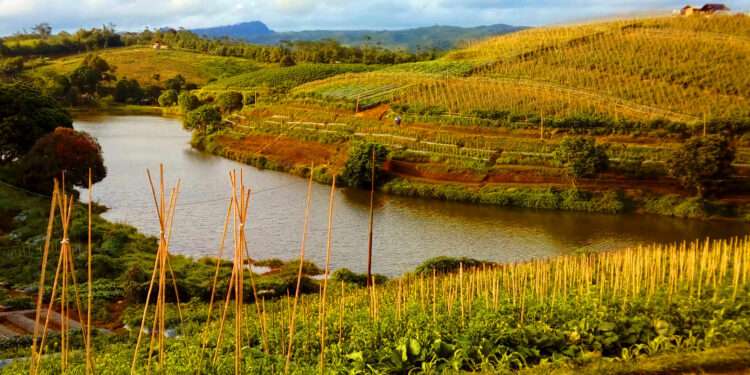 situ ciasmay sukanagara cianjur
