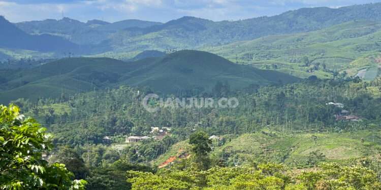 pemandangan perbukitan di Kecamatan Sukalaksana - Cianjur Selatan (foto:ifan/cianjur.co)