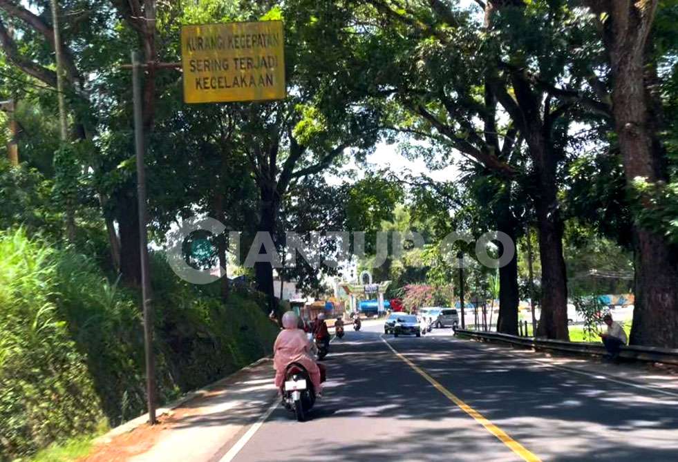 Hati-hati! Bahaya Di Balik Indahnya Jalur Cugenang - Cianjur