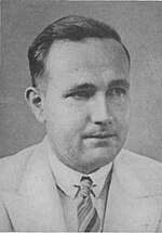 Reinout van Bemmelen