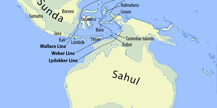 Teori Out of Sundaland