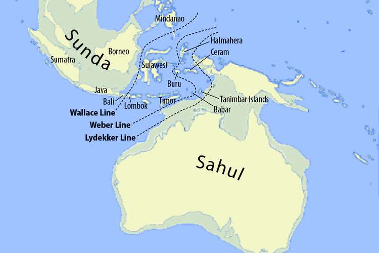 Teori Out of Sundaland oleh Stephen Oppenheimer: Asal Usul Peradaban Dunia dari Nusantara