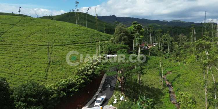 foto udara desa sukalaksana sukanagara cianjur selatan