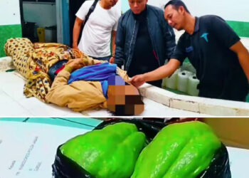 Diduga Dipicu Perselisihan Labu Siam, Pria 56 Tahun Meninggal Setelah Dianiaya